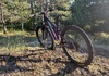 Trek fuel ex 8 - 2020 Mountainbike säljes