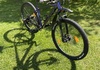 Scott Contessa Scale 900 COMP x 12 MTB 21 Storlek M Mountainbike säljes