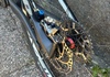 Epic S-Works World cup, Large  Mountainbike säljes
