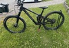 Canyon Strive CFR Underdog 
