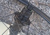 Rose G30 Light - Hjulpar Gravel XDR Hjul säljes