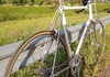Daccordi Turbo Racercykel / Landsväg säljes