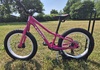 Trek Roscoe 20" Barncykel säljes