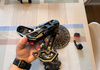 SRAM X0 Transmission Bakväxel, Kassett+Kedja Komponenter säljes