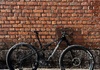 Cannondale Scalpel 1 SL 2025