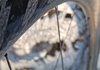 Zipp 404 Firecrest Carbon Clincher 77/177 Hjul säljes