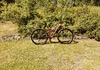 Specialized camber comp 29 Mountainbike säljes
