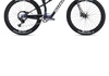 Allebike Alpha XTR , DT Carbon 1501