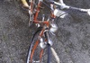 Crescent världsmästarcykeln veteran/vintage Racercykel / Landsväg säljes