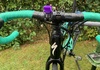 Specialized Roubaix Ultegra Racercykel / Landsväg säljes