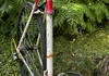 Visom racer  Racercykel / Landsväg säljes