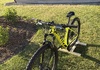 Scott scale 940 Mountainbike säljes
