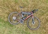 Trek Checkpoint ALR 5 Driftless, 61 Cross / Gravel säljes