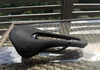 Selle San Marco Komponenter säljes