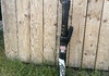 Rockshox Piké RC 140mm Komponenter säljes