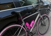 Limited Edition Corsa PRO PINK Däck säljes