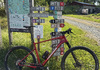 Cannondale Scalpel HT Carbon 2 (XL) Mountainbike säljes