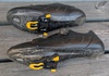Shimano RP9 Landsvägsskor (Kolfiber, BOA) inkl. nya SPD-SL klossar – Storlek 43 Skor säljes