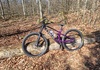 Trek Fuel ex 8 Mountainbike säljes