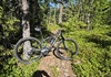 Canyon Lux World Cup CFR LTD Mountainbike säljes