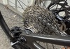 Scott Addict 40 2026 helt ny! KLARNA betalning tillgänglig  Racercykel / Landsväg säljes