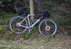 Canyon Grail CF SL 8 (2024) – Stl M Cross / Gravel säljes