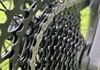 Scott Spark 940 XS -24 Mountainbike säljes