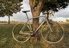 Trek Émonda ALR 5