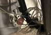 PAXAD: Kona gravel projekt Cross / Gravel säljes