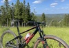 BMC Fourstroke 01 TWO 2020 Mountainbike säljes