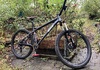 Bird Zero TR (Large) Mountainbike säljes