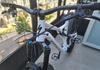 2019 Specialized Stumpjumper Comp Alloy 29 Bike Mountainbike säljes
