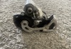 Shimano Ultegra rd-6600 bakväxel Komponenter säljes