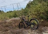 Canyon Spectral CF7 29”  Mountainbike säljes