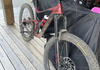 Giant Reign SX 29 -2020 Mountainbike säljes