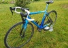 Colnago C64 – Record – Shamal Ultra – 7,1 kg – Made in Italy Racercykel / Landsväg säljes