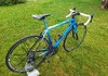 Colnago C64 – Record – Shamal Ultra – 7,1 kg – Made in Italy Racercykel / Landsväg säljes