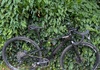 Cannondale Topstone Carbon- Gravel cykel XS Cross / Gravel säljes