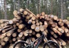Scott Patron ST 2025  Elcykel säljes