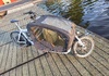Bullitt