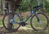 White GX LTD 