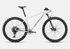 Specialized Chisel Hardtail Large Mountainbike köpes