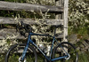Orbea avant H30 