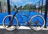 Allebike Alpha XX1 L Mountainbike säljes
