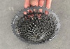 Sram XG 1275 10-52T Komponenter säljes