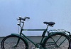 Pilen Herrcykel