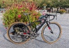 S-Works Amira SL4 – Dura-Ace – 48 cm