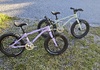 2st Early Rider Seeker 16"