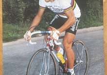 Poster/Affisch med Giuseppe Saronni