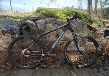 Bianchi Methanol SX 29" XL 120mm